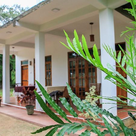 Sigiri Lion Villa Sigiriya Exterior foto